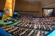 5 выдающих достижений вьетнама за два года в качестве непостоянного члена совета безопасности ООН