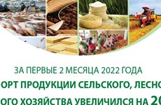 За первые 2 месяца 2022 года экспорт продукции сельского, лесного и рыбного хозяйства увеличился на 20,9%