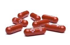 Предложение о выдаче лицензии на обращение трех препаратов, содержащих активное вещество «Молнупиравир»