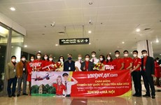 Вьетнамцы в Японии приветствуют возобновление авиасообщения между двумя странами