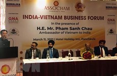 Различные мероприятия, посвященные 50-летию установления вьетнамо-индийских отношений