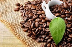 Экспортный оборот кофе превысил 2 млрд. долл. США за 5 месяцев