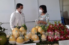 Бариа-Вунгтау способствует инвестициям в высокотехнологичный сельскохозяйственный сектор