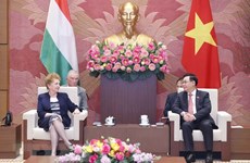 Развитие сотрудничества между Венгрией и Вьетнамом