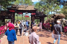 Более 100.000 туристов побыли в Ламдонг на весеннюю прогулку