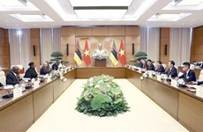 Председатель НС Выонг Динь Хюэ провел переговоры с председателем парламента Мозамбика