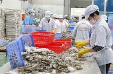 Активизация сотрудничества в области рыбного хозяйства между регионами Вьетнама и Индии