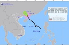 Тайфун №1 ослаб до тропической депрессии, а на севере Вьетнама ожидаются ливни и грозы
