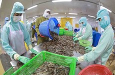 Экспорт рыбной продукции вырос на 40% в первом полугодии