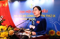 Союз женщин Вьетнама подтвердит свою пионерскую роль в защите женщин