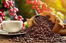 Импорт кофе из Вьетнама в Японию увеличился