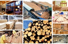 Вьетнам стремится увеличить экспорт древесины и лесной продукции до 20 млрд. долл. США к 2025 году