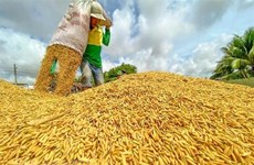 Возможность для подтверждения качества сельхозпродукции Вьетнама на мировом рынке