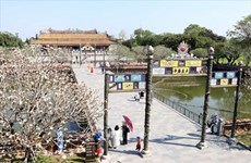 Провинция Тхыатхиен-Хюэ готова к приему иностранных туристов