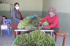 Ниньтхуан: выделено около 730 млрд. донгов на реализацию программы устойчивого сокращения бедности