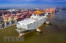 Морской порт Хайфона планирует принять 100 млн. тонн грузов