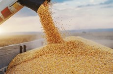 Министерство надеется устранить препятствия для экспорта сельскохозяйственной продукции в Россию и на Украину