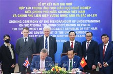 Вьетнам и Великобритания наращивают сотрудничество в сфере профессионального образования
