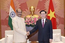 Глава нижней палаты парламента Индии успешно завершил визит во Вьетнам