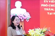 Вице-президент Во Тхи Ань Суан вручила подарки бедным семьям и посетила районы, представляющие типичную экономическую модель 