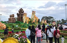 В провинции Биньдинь содействуют развитию летнего туризма 2022 года