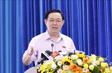 Председатель НС Вьетнама Выонг Динь Хюэ встретился с избирателями в г. Хайфоне