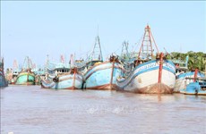 Провинция Бенче усиливает регистрацию и лицензирование рыболовных судов