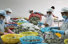 Вьетнам имеет большое положительное сальдо торгового баланса в сельскохозяйственном, лесном и водном экспорте