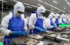 Вьетнам активно интегрируется в международный рынок труда