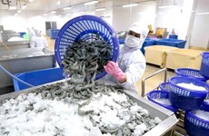 Камау способствует экспорту морепродуктов в Великобританию
