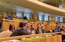 Мировое сообщество признало достижения Вьетнама в защите прав человека