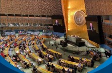 Вьетнам во второй раз избран в Совет ООН по правам человека