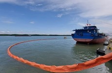 Морские страны Восточной Азии сотрудничают в борьбе с загрязнением моря пластиком