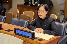Вьетнам высоко оценивает важность процесса деколонизации в ООН