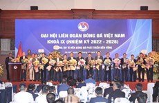 Федерация футбола Вьетнама прилагает усилия к устойчивому развитию футбола страны