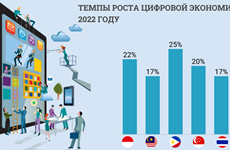 Цифровая экономика Вьетнама достигла самого быстрого роста в Юго-Восточной Азии