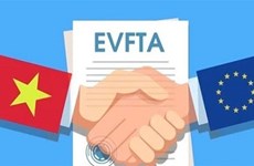 Вьетнамские предприятия эффективно использовали возможности, вытекающие из соглашения EVFTA