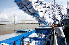 Экспорт риса из Вьетнама в этом году достигнет 7 млн. тонн