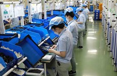 Производство микросхем и полупроводников помогает поднять позиции Вьетнама