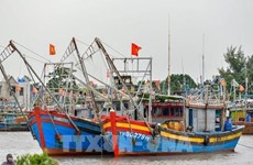 Во Вьетнаме опубликована информация о рыболовных судах, которые могли нарушить правила борьбы с ННН-промыслом