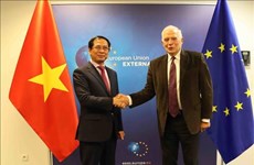 ЕС считает Вьетнам одним из важнейших партнеров в Индо-Тихоокеанском регионе