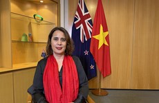 Посол Новой Зеландии: Общий подход является преимуществом в отношениях экономики и торговли между Вьетнамом и Новой Зеландией
