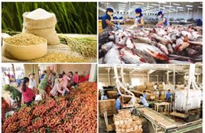 В январе экспорт Вьетнама сельскохозяйственной, лесной и рыбной продукции составил более 3,7 млрд. долл. США