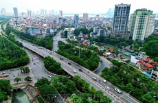 Развитие зеленых насаждений города
