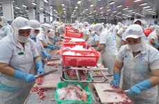 Экспорт пангасиуса многообещающий, поскольку Китай начинает таможенное оформление