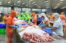 Экспорт морепродуктов достигнет рекордных 11 млрд. долл. США в 2022 году, но впереди вызовы