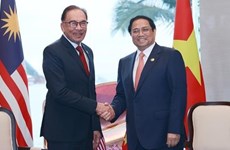 Вьетнам стремится к укреплению стратегического партнерства с Малайзией