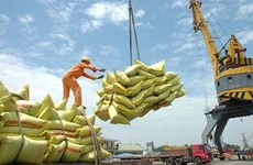 Вьетнам остается крупнейшим поставщиком риса на Филиппины