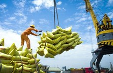 ЕС рассматривается как потенциальное направление для вьетнамского риса