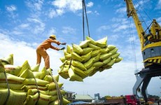 Экспорт риса: Диверсификация рынка для ускорения роста